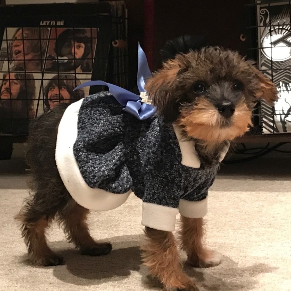 Meet Jennifer! ...and also your posher, Whitney.